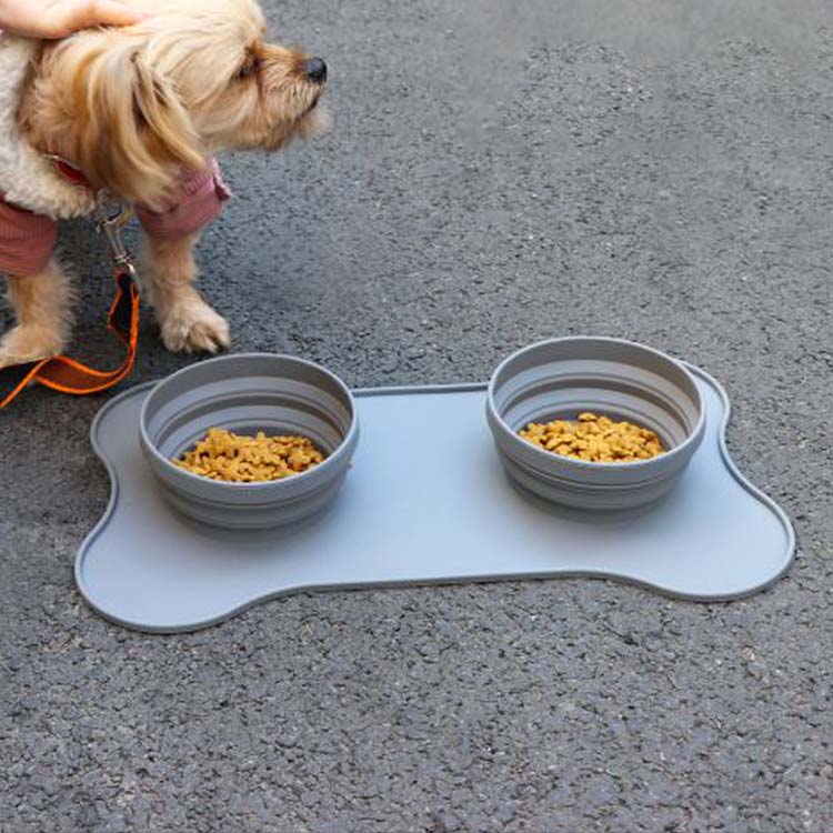 pet bowl